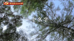 我为群众办实事