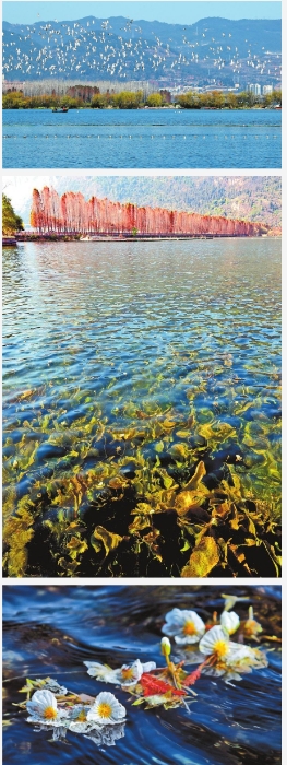 1646273780(1) 1646273780(1)