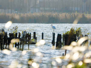 20261644514614699 20261644514614699